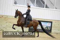 22BUCK_00721 proof