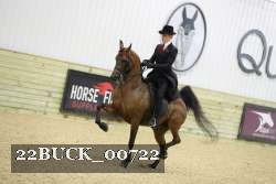 22BUCK_00722 proof
