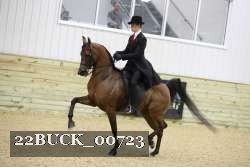 22BUCK_00723 proof