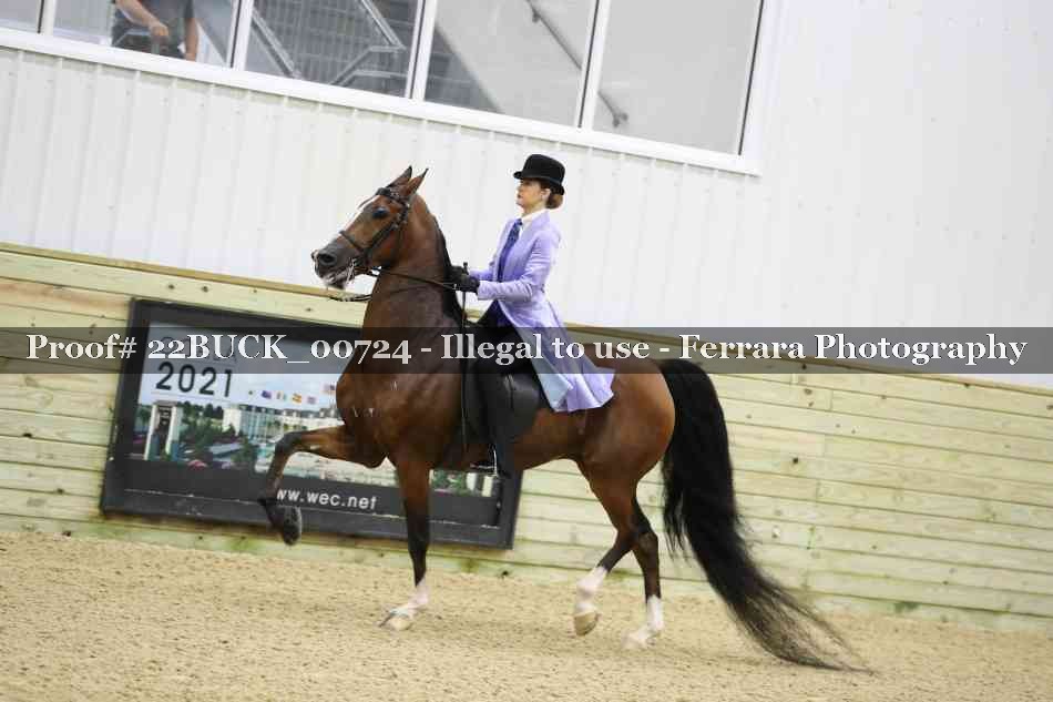 Proof 22BUCK_00724
