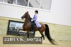 22BUCK_00724 proof