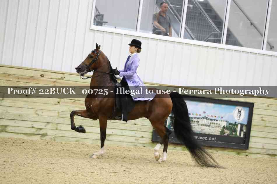 Proof 22BUCK_00725