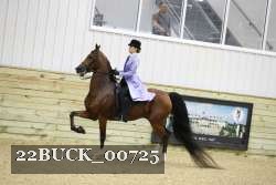 22BUCK_00725 proof
