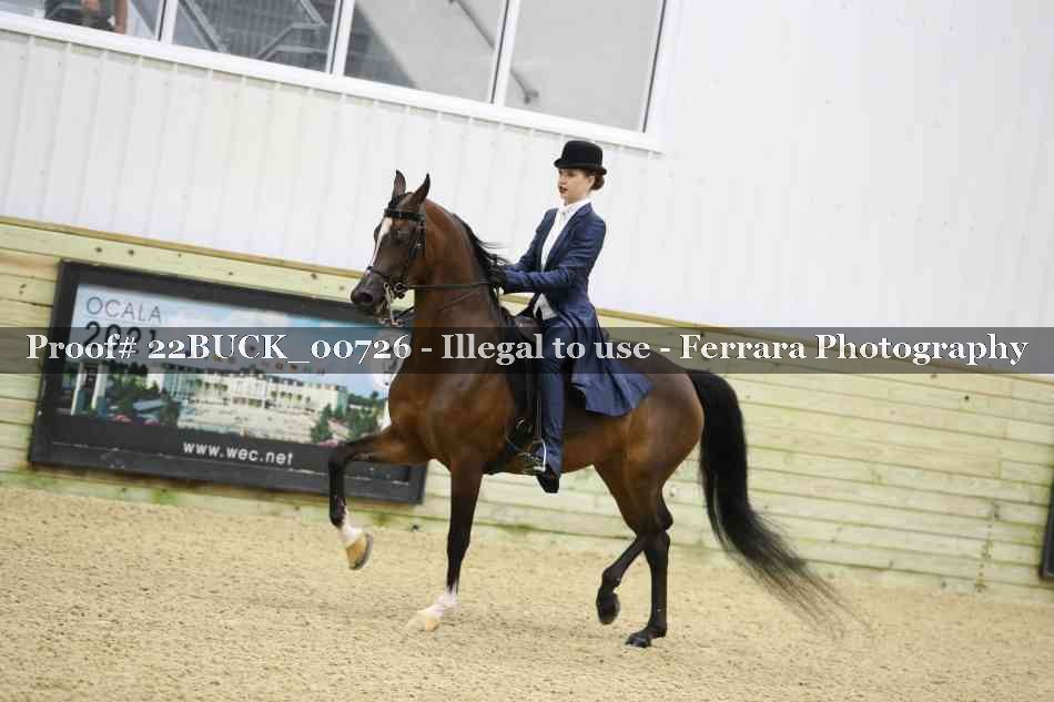 Proof 22BUCK_00726