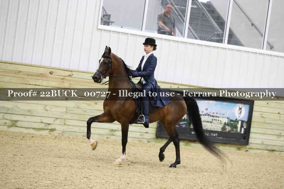 Proof 22BUCK_00727