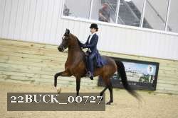 22BUCK_00727 proof