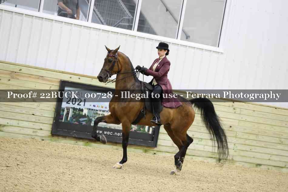 Proof 22BUCK_00728