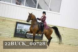 22BUCK_00728 proof