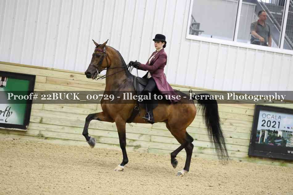 Proof 22BUCK_00729