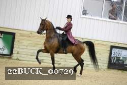 22BUCK_00729 proof