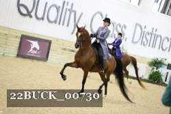 22BUCK_00730 proof