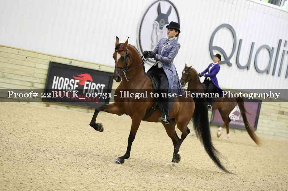 Proof 22BUCK_00731