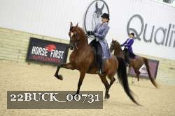 22BUCK_00731 proof