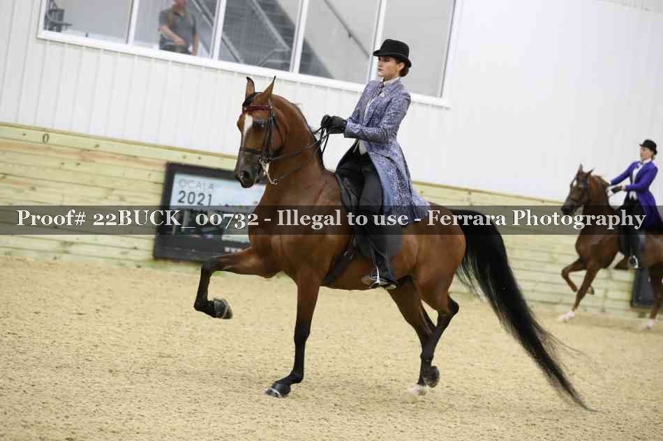Proof 22BUCK_00732