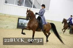 22BUCK_00732 proof