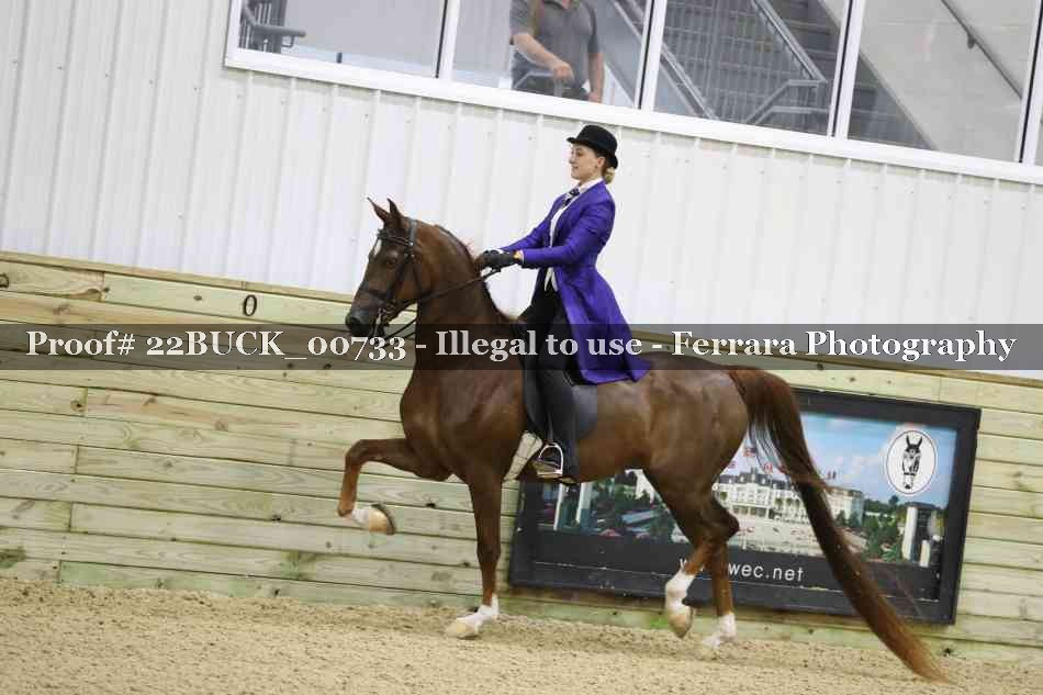 Proof 22BUCK_00733