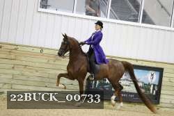 22BUCK_00733 proof