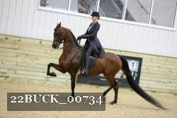 22BUCK_00734 proof