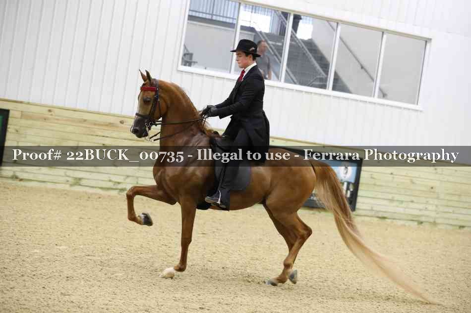 Proof 22BUCK_00735