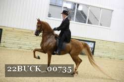 22BUCK_00735 proof