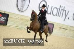 22BUCK_00736 proof