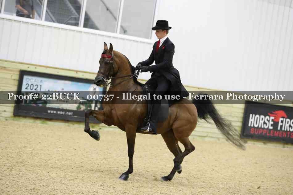 Proof 22BUCK_00737
