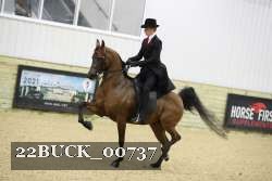 22BUCK_00737 proof