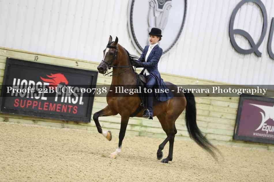 Proof 22BUCK_00738