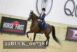 22BUCK_00738 proof