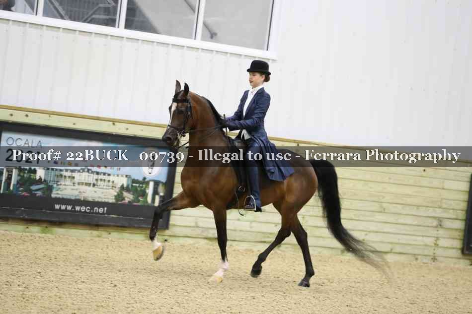 Proof 22BUCK_00739