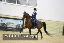 22BUCK_00739 proof