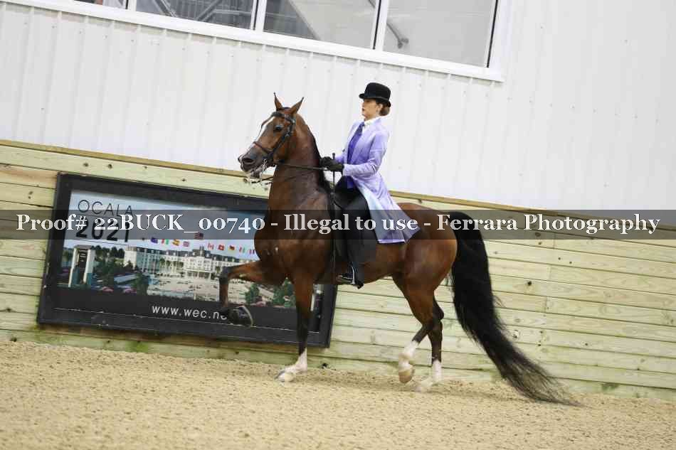 Proof 22BUCK_00740