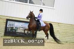 22BUCK_00740 proof