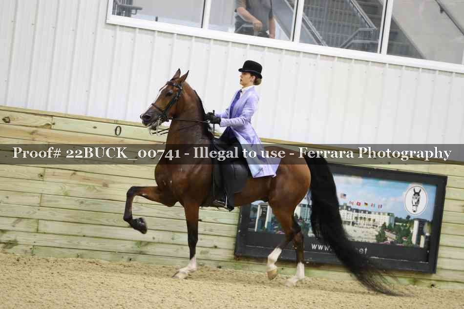 Proof 22BUCK_00741