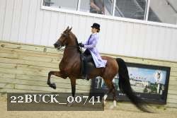 22BUCK_00741 proof