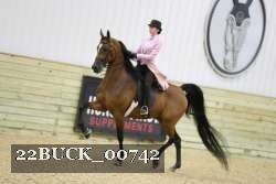 22BUCK_00742 proof
