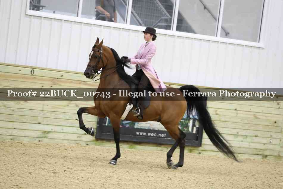Proof 22BUCK_00743