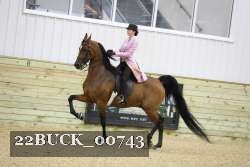 22BUCK_00743 proof