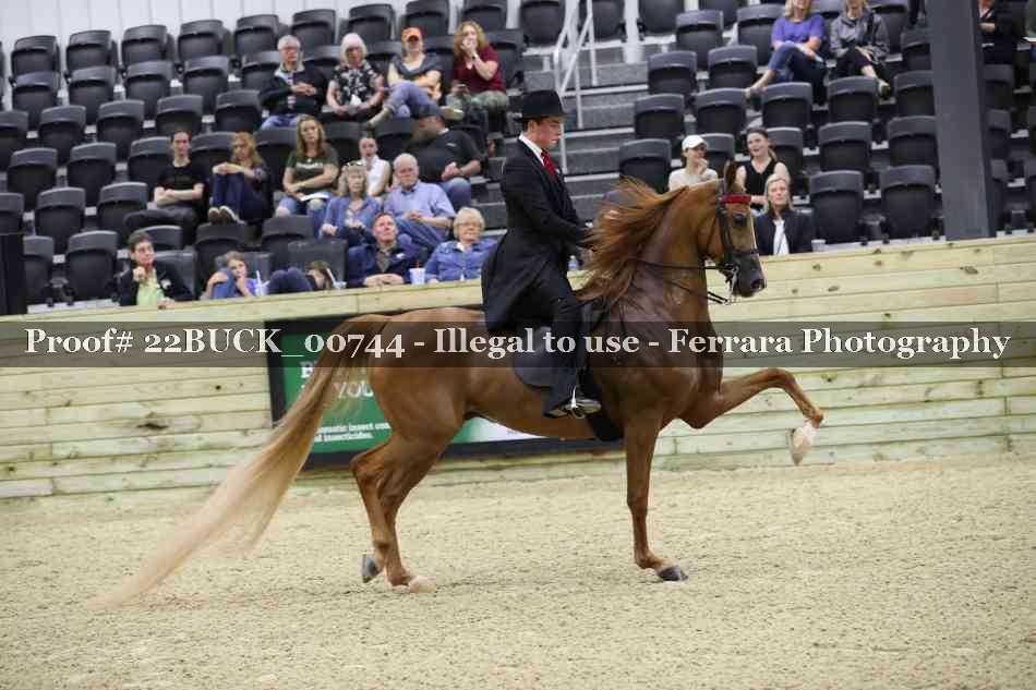 Proof 22BUCK_00744
