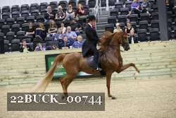 22BUCK_00744 proof
