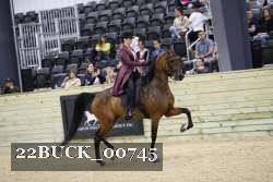 22BUCK_00745 proof