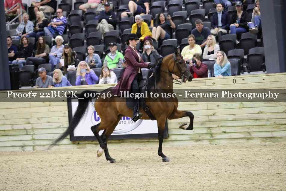 Proof 22BUCK_00746