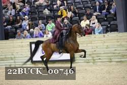 22BUCK_00746 proof