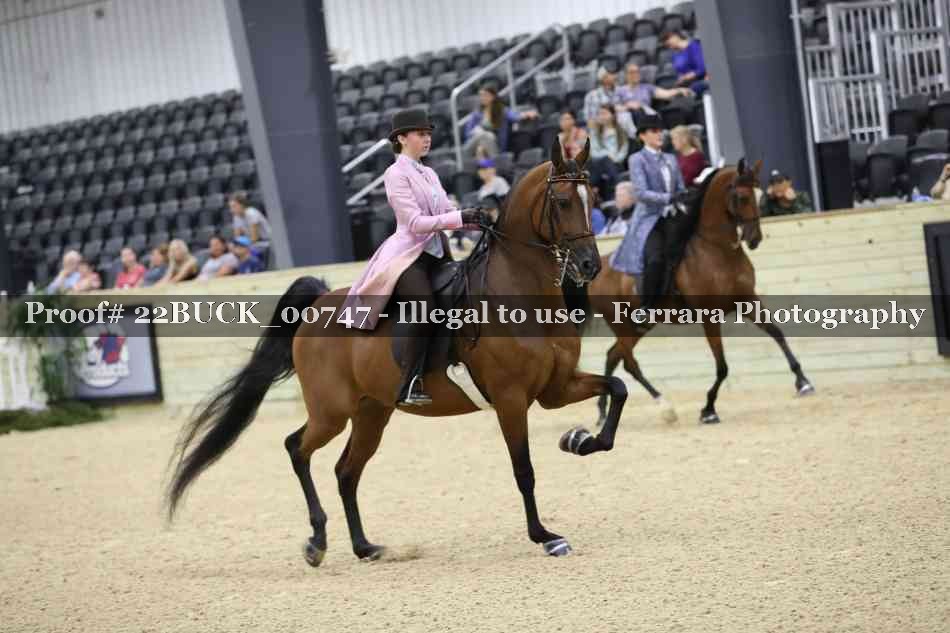 Proof 22BUCK_00747