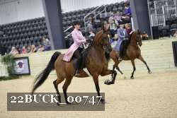 22BUCK_00747 proof