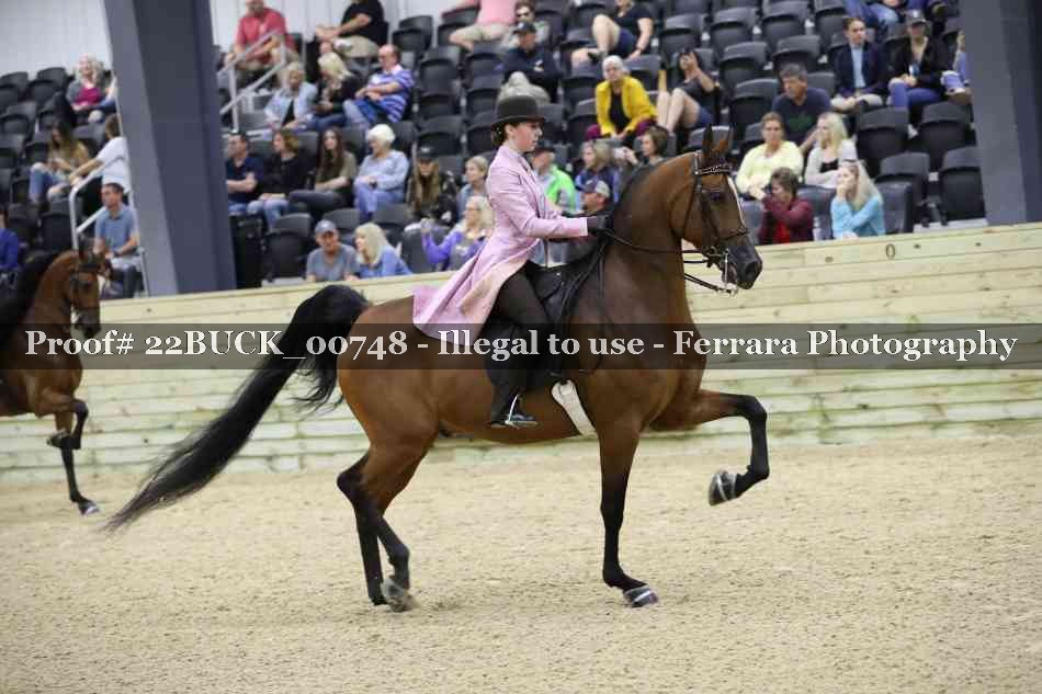Proof 22BUCK_00748