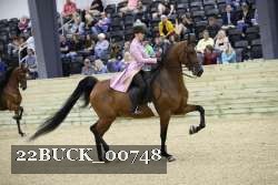 22BUCK_00748 proof