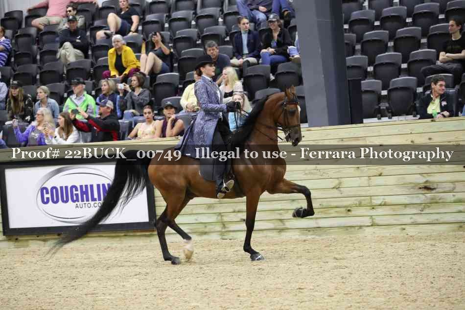 Proof 22BUCK_00749