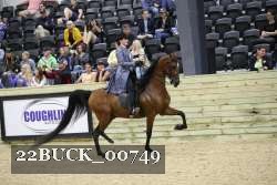 22BUCK_00749 proof