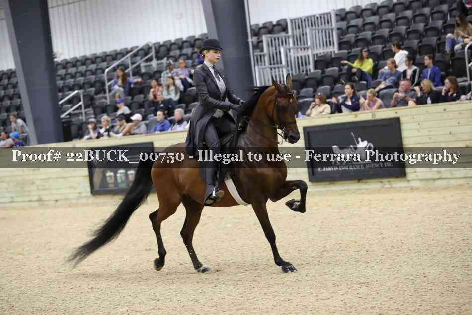 Proof 22BUCK_00750